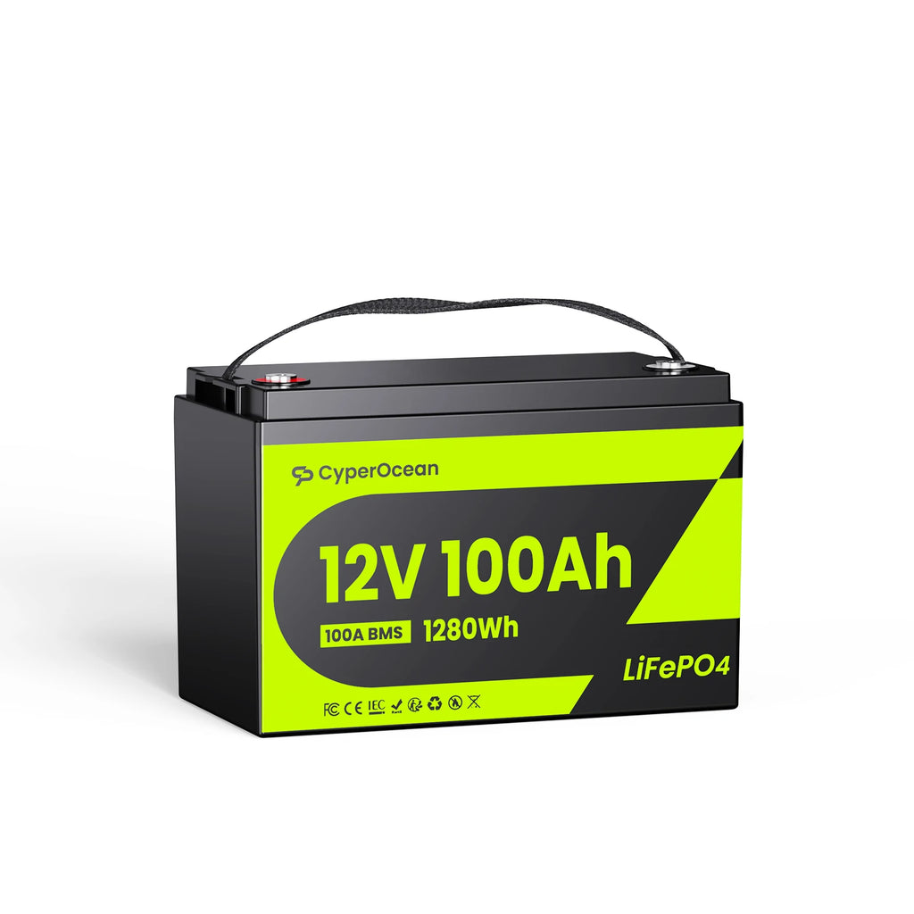 CyperOcean 12V 100Ah LiFePO4 Battery, Group 31, 20.5 lbs Ultra-Lightweight, 100A BMS
