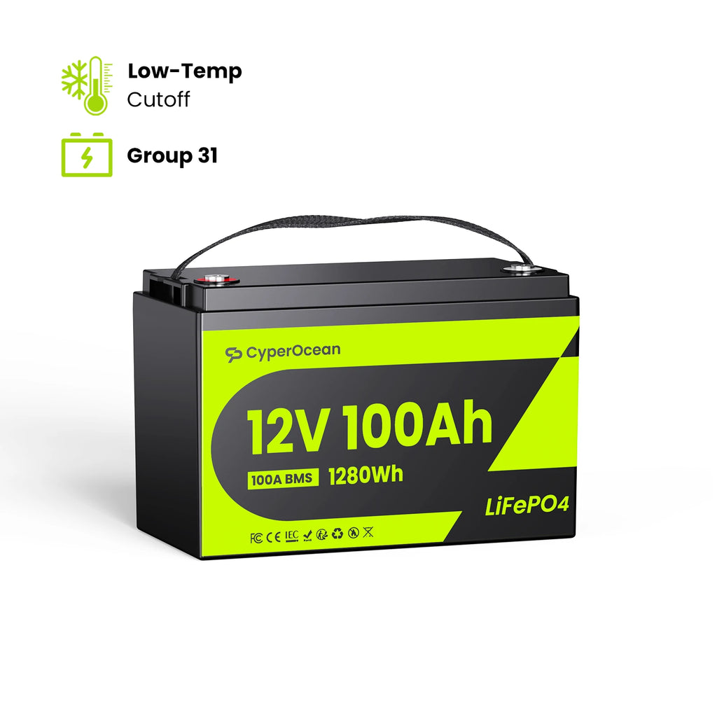 CyperOcean 12V 100Ah LiFePO4 Battery, Group 31, 20.5 lbs Ultra-Lightweight, 100A BMS