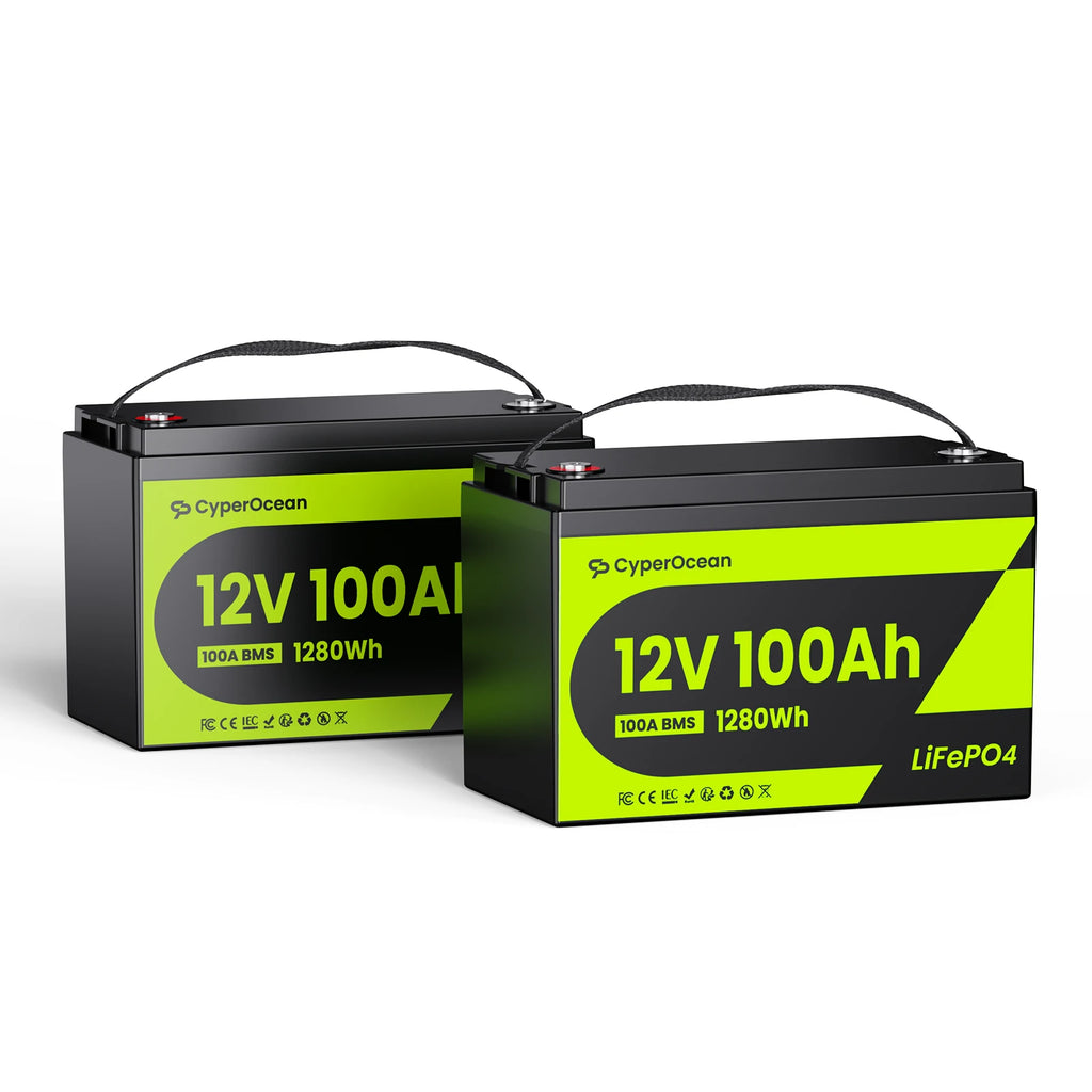 CyperOcean 12V 100Ah LiFePO4 Battery, Group 31, 20.5 lbs Ultra-Lightweight, 100A BMS